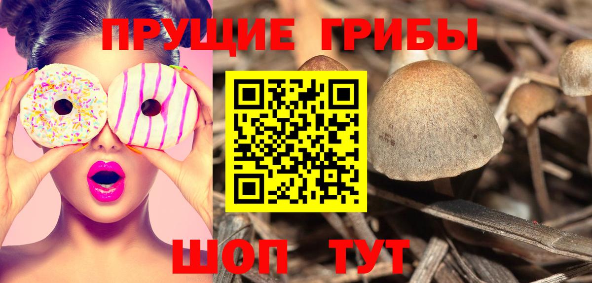 Псилоцибиновые грибы мухоморы  Вход с VPN  Елизово 